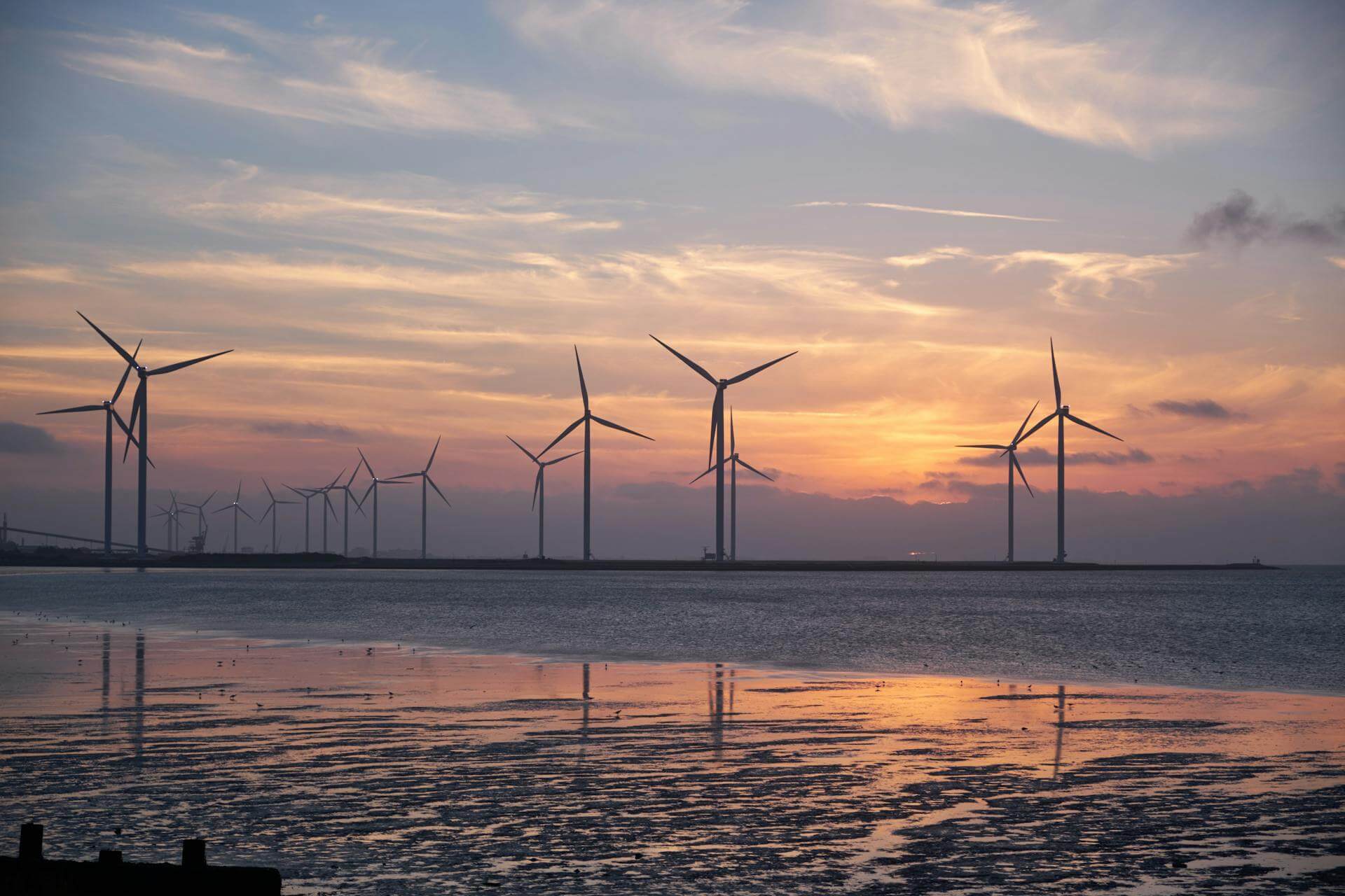 New Wind Farm Goes Online in the North Sea